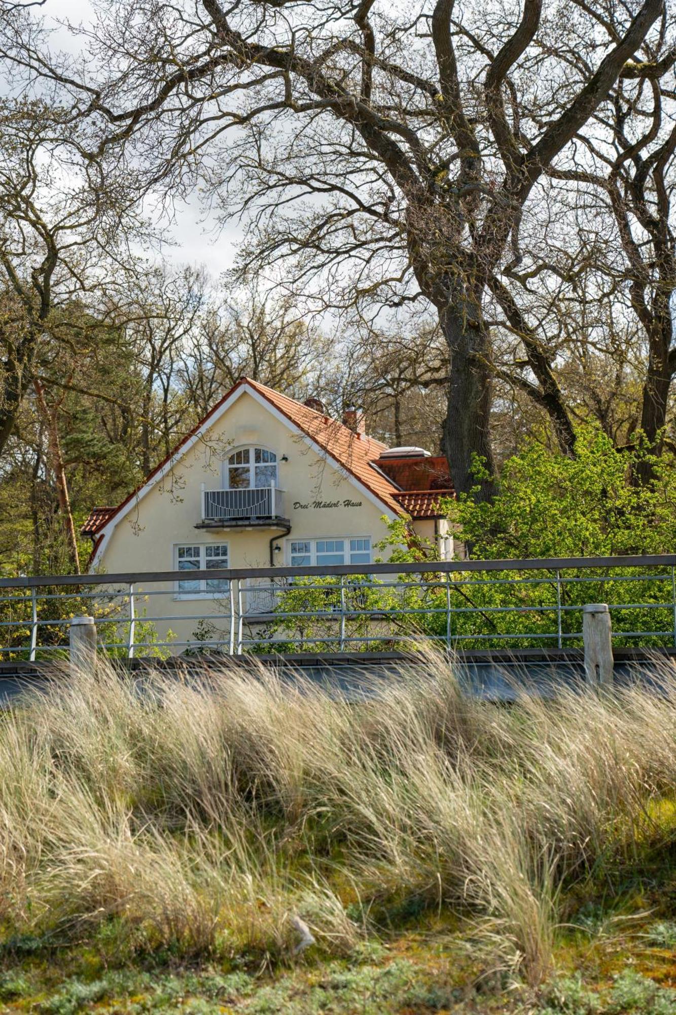 Strandvilla Drei Maederl Haus Больтенхаген Экстерьер фото